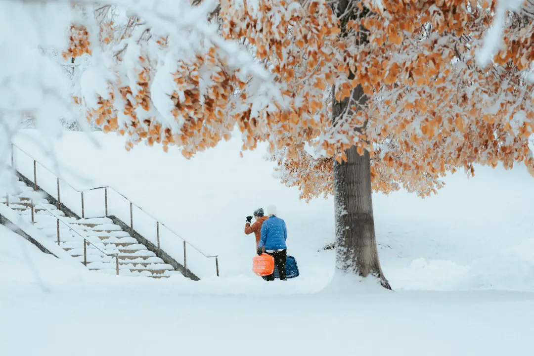 a man taking a picture of a tree in the snow